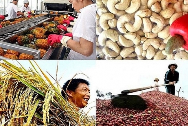 Việt Nam thu về hơn 47,8 tỷ USD từ xuất khẩu nông lâm thủy sản trong 11 tháng