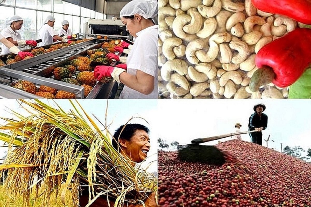 Việt Nam thu về hơn 47,8 tỷ USD từ xuất khẩu nông lâm thủy sản