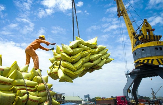 Ngày 1/12: Xuất khẩu gạo Việt Nam lập kỷ lục đạt trên 4,155 tỷ USD