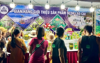 Lào Cai: Đầu tư hơn 48 tỷ đồng cho phát triển tài sản trí tuệ đến năm 2030
