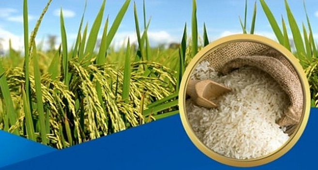 Ngày 4/12: Giá gạo xuất khẩu tiếp tục tăng cao, trong nước duy trì ổn định