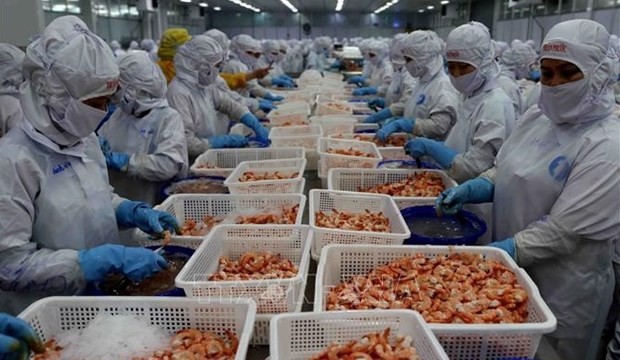 Shrimp exports to reach 3.4 billion USD in 2023: VASEP
