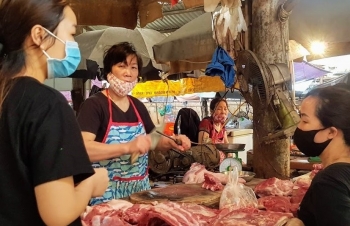 Giá lợn hơi thời điểm gần Tết Nguyên đán mới nhích tăng trở lại