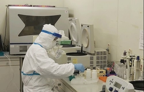 Bộ Y tế thông tin về biến thể JN.1 của virus SARS-CoV-2
