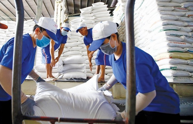 Thị trường nông sản tuần qua: Giá gạo Việt Nam tăng lên mức cao nhất trong hơn 15 năm