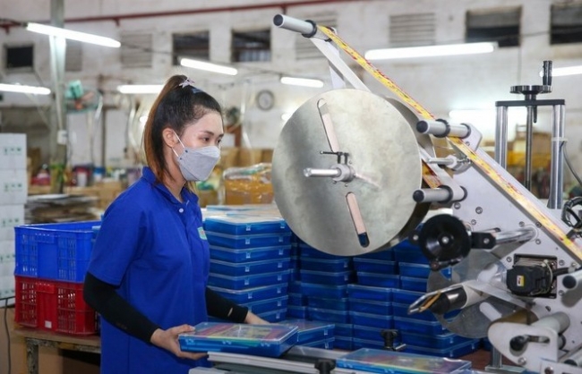 Vướng mắc khiến chưa có doanh nghiệp nào bị xử lý hình sự về hành vi trốn đóng bảo hiểm xã hội