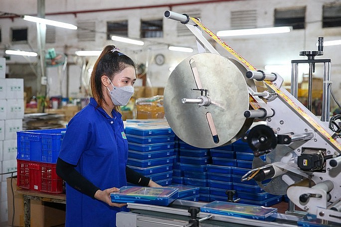 Vướng mắc khiến chưa có doanh nghiệp nào bị xử lý hình sự về hành vi trốn đóng bảo hiểm xã hội