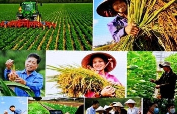 Hỗ trợ ít nhất 500.000 hộ nông dân bán hàng trên sàn thương mại điện tử