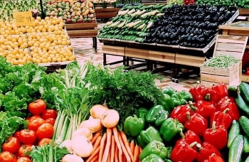 Công ty Viet-Sin Grocery bị Singapore phạt 36.000 SGD do vận hành trái phép kho trữ lạnh