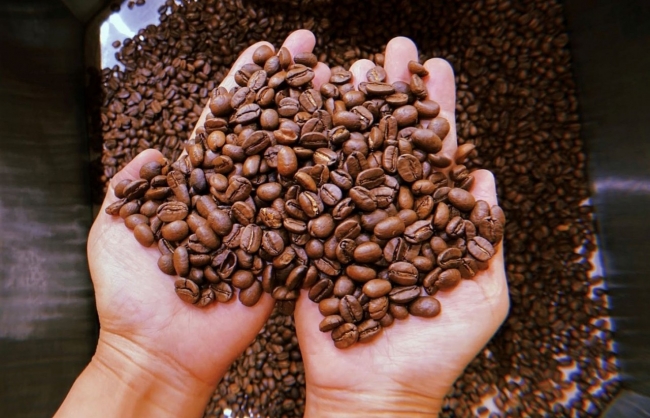 Ngày 29/12: Giá cà phê và cao su tăng, hồ tiêu nhìn chung đi ngang