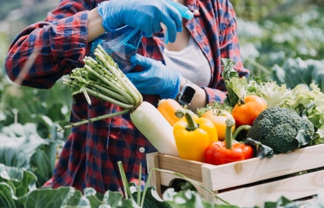 Năm 2023, Việt Nam xuất siêu nông lâm thủy sản đạt mức kỷ lục