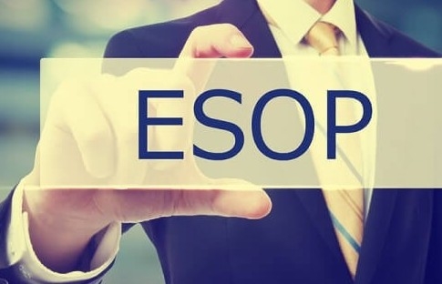 GMD dự kiến phát hành hơn 4,5 triệu cổ phiếu ESOP bằng mệnh giá