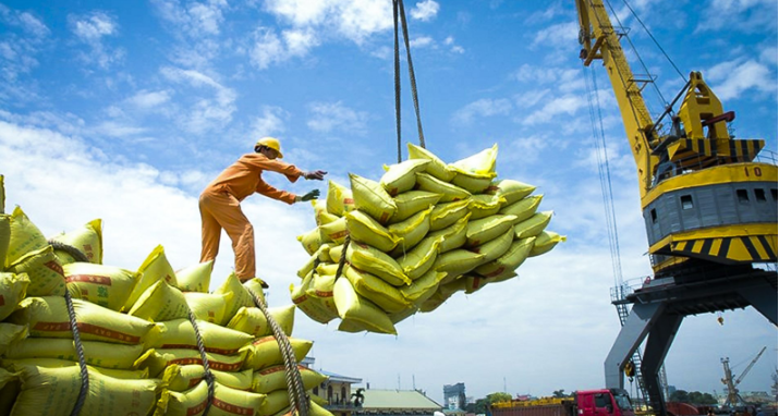 Ngày 30/12: Giá gạo xuất khẩu duy trì ổn định trong phiên giao dịch cuối cùng của năm 2023