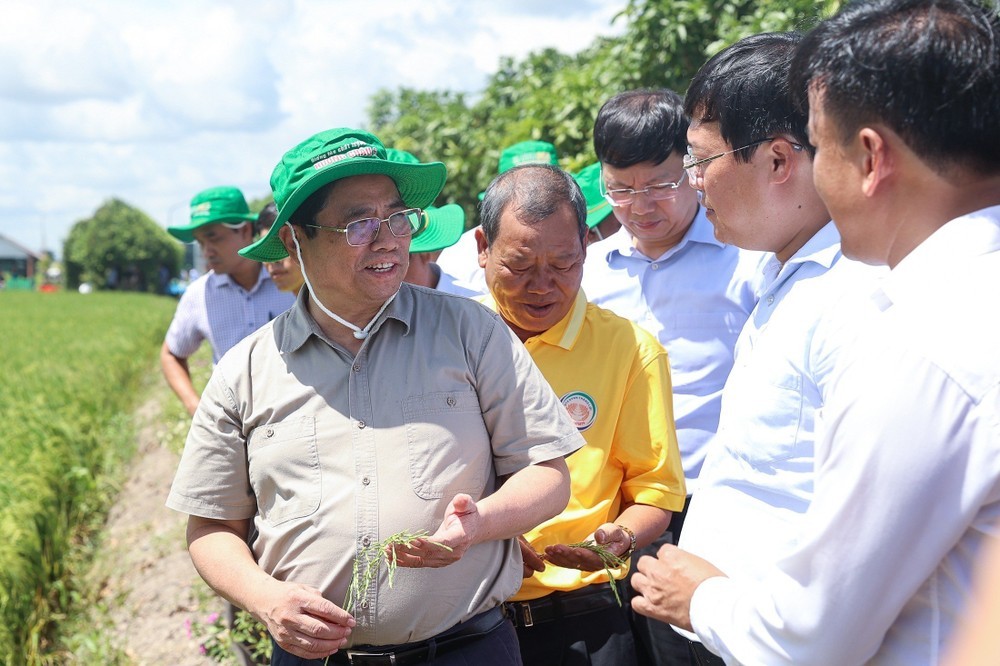 Chiều ngày 30/12, Thủ tướng đối thoại với nông dân