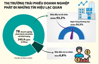 Chuyên nghiệp hóa tổ chức trung gian, tạo sự ổn định lâu dài cho trái phiếu