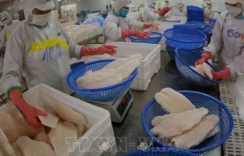 Vietnam targets 2 billion USD in tra fish exports in 2024
