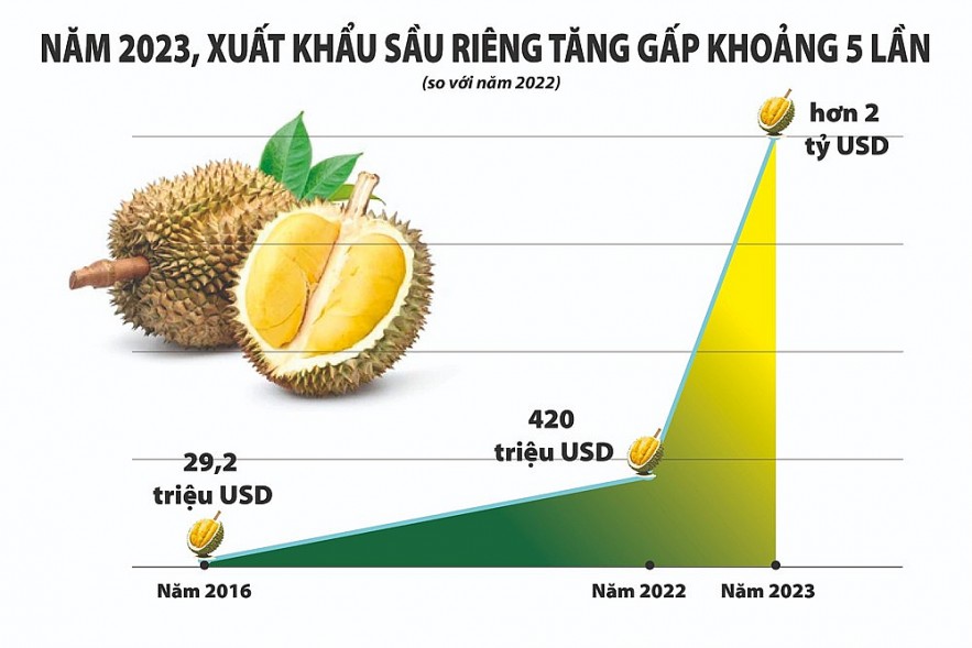 Xuất khẩu rau quả kỳ vọng "bùng nổ" trong năm 2024