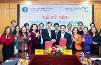 Hợp tác triển khai “Khung quản lý thuốc bảo vệ thực vật bền vững” năm 2024