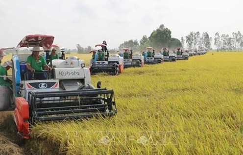 Agriculture sector sets new records amid global challenges