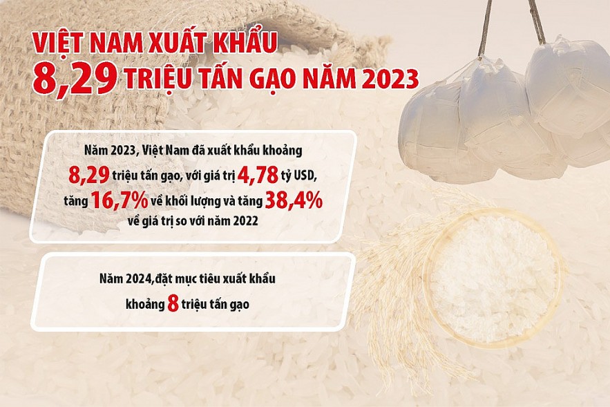 Ngành lúa gạo sẽ khởi sắc trong năm 2024