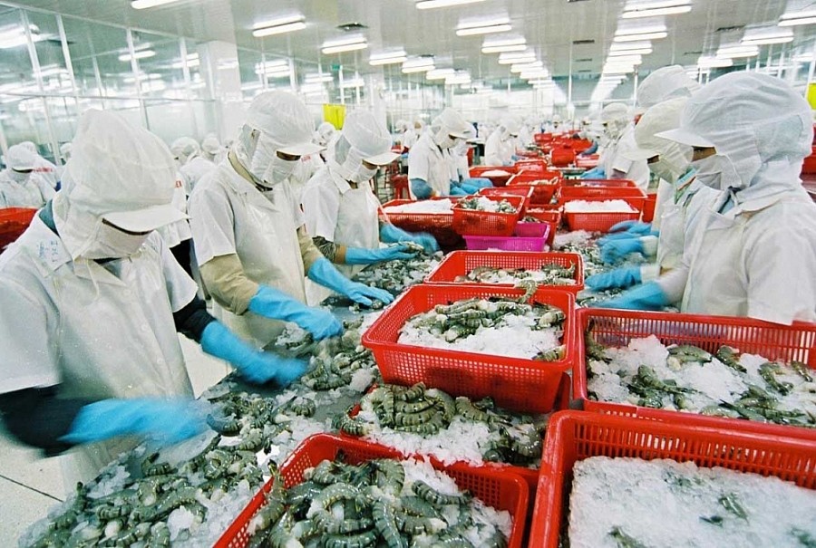 Năm 2024-nông sản Việt gia tăng thị phần và giá trị xuất khẩu vào thị trường Trung Quốc