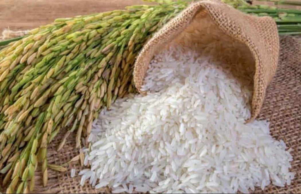 Ngày 29/1: Giá lúa gạo tại thị trường nội địa không có biến động | Thời ...