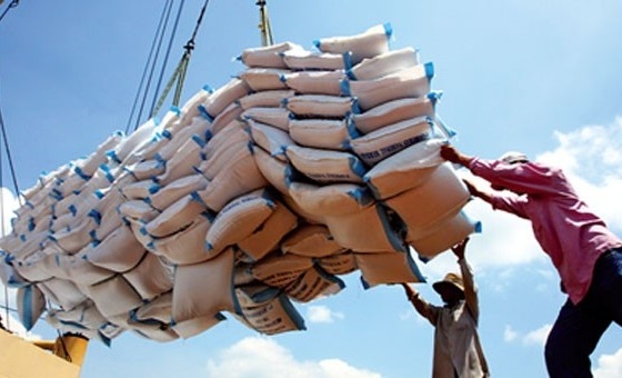161 thương nhân được cấp Giấy chứng nhận đủ điều kiện xuất khẩu gạo