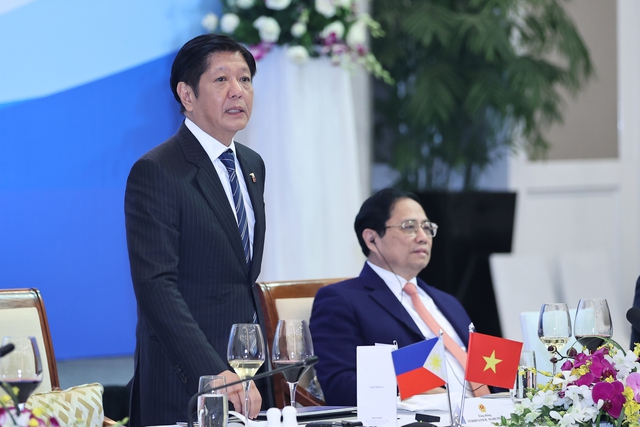 Việt Nam và Philippines 'vừa hợp tác, vừa cạnh tranh' về kinh tế- Ảnh 5.