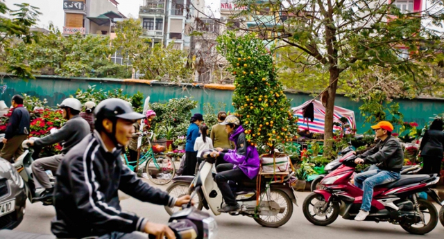 Chỉ đạo, điều hành của Chính phủ, Thủ tướng Chính phủ nổi bật tuần từ 29/1