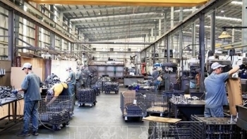 11 Vietnamese investment projects abroad licensed in early 2024