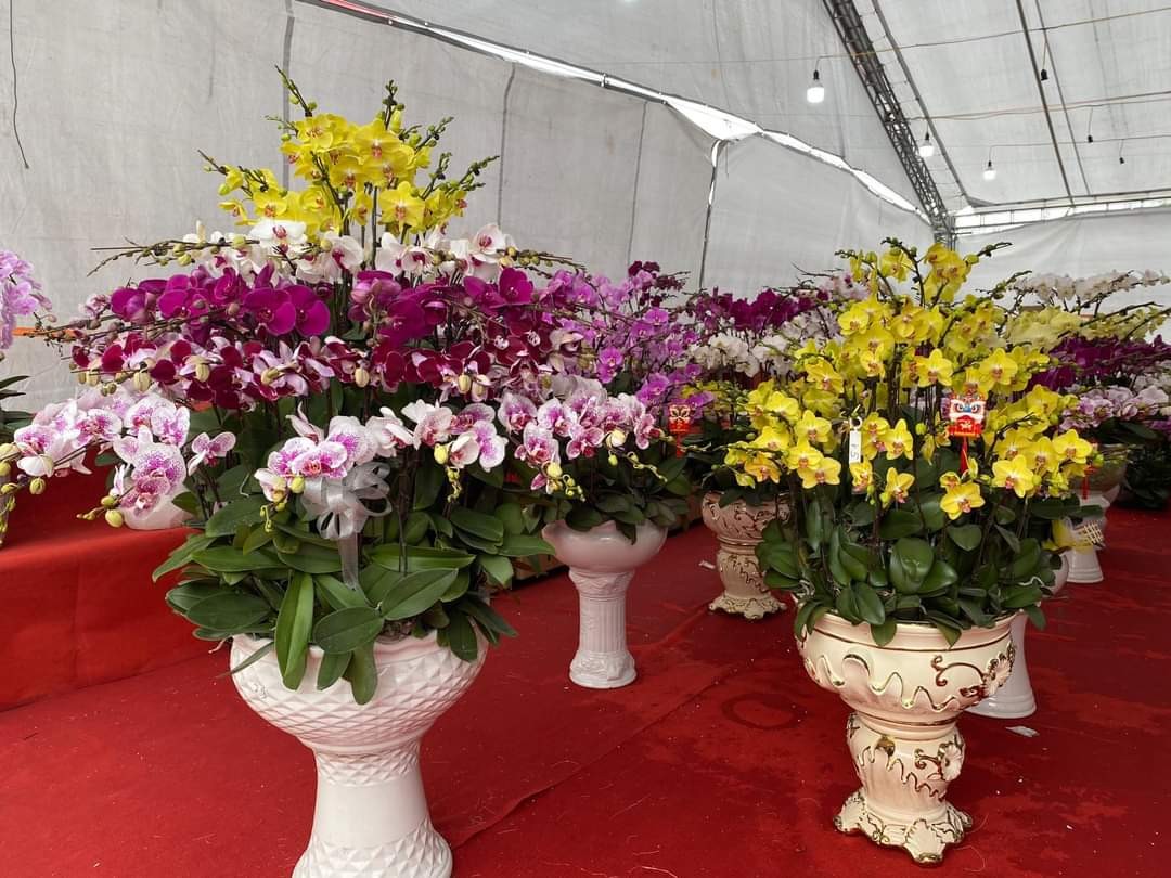 Đa dạng đặc sản vùng miền phục vụ người dân Thủ đô ngày tết Đa dạng đặc sản vùng miền phục vụ người dân Thủ đô ngày tết