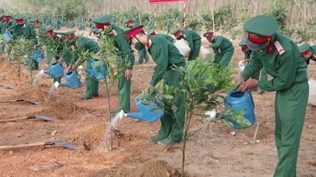 Thủ tướng chỉ thị tổ chức Tết trồng cây