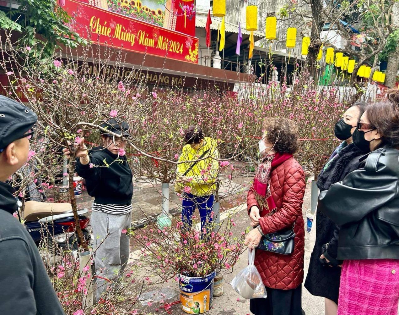 Sầm uất chợ hoa phố cổ Hà Nội đón Tết Giáp Thìn 2024