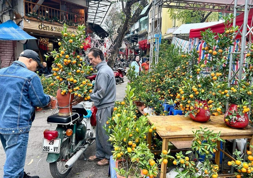 Nhộn nhịp Chợ hoa phố cổ Hà Nội đón Tết Giáp Thìn 2024