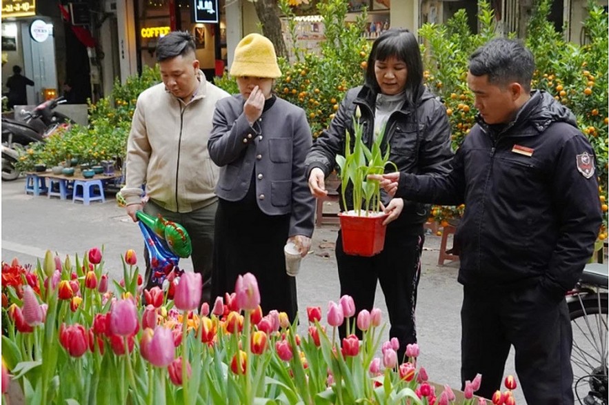 Chợ hoa Hàng Lược sức mua yếu trong ngày cận Tết