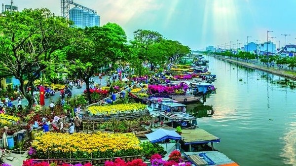 TP. Hồ Chí Minh: Thu mua hơn 9.000 chậu hoa tết bán ế