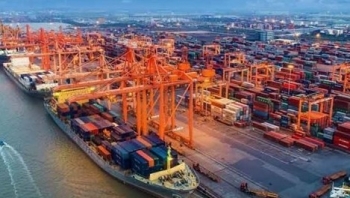Vietnam’s coffee export value doubles in January