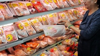 Sản phẩm chăn nuôi Việt làm gì để giành lại "sân nhà" và gia tăng xuất khẩu?