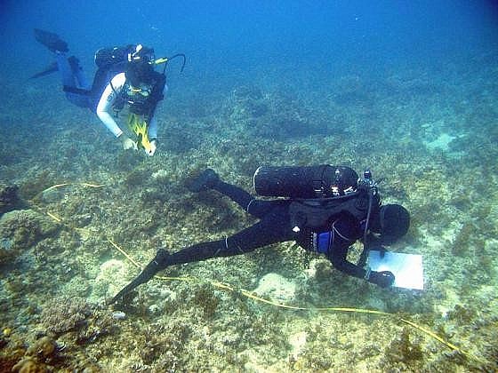 Phí thẩm định cấp phép cho tổ chức nước ngoài nghiên cứu khoa học vùng biển Việt Nam