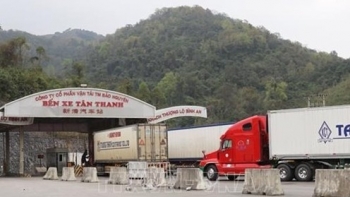 Export-import turnover reaches 1.41 billion USD during Tet