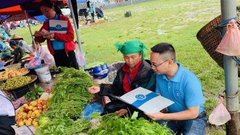 Tích cực triển khai công tác thu và phát triển người tham gia bảo hiểm xã hội ngay từ đầu năm