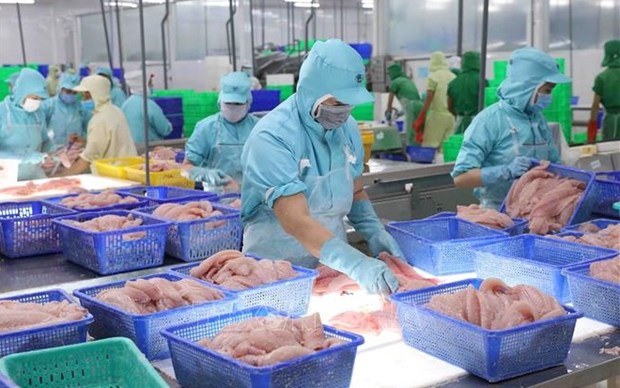 Vietnam's aquatic product exports expected to recover in 2024 hinh anh 1