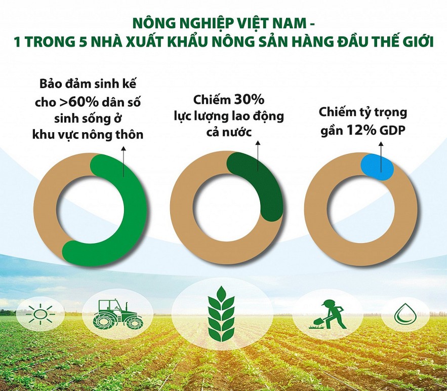 Hướng tới nền nông nghiệp xanh, trách nhiệm, hiệu quả