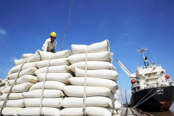 Indonesia nhập khẩu bổ sung 1,6 triệu tấn gạo, mở ra cơ hội cho doanh nghiệp Việt Nam