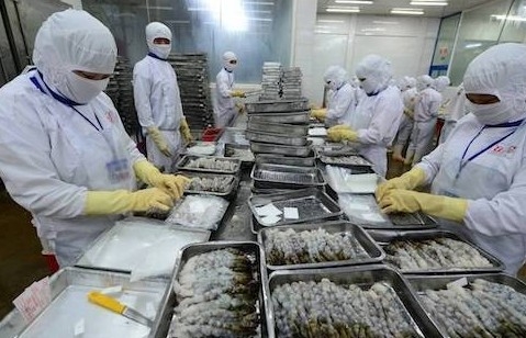Mặt hàng tôm và cá tra xuất khẩu sang Trung Quốc tăng gấp 4 lần tháng trước