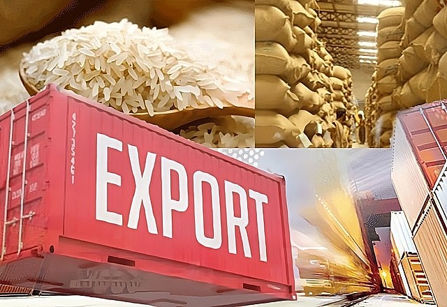 Xuất khẩu gạo có nhiều dư địa để gia tăng giá trị và thành công trong năm 2024