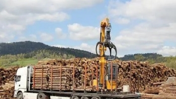 Việt Nam - Hoa Kỳ: Thiết lập khung pháp lý quản lý rủi ro, chống buôn bán gỗ trái phép