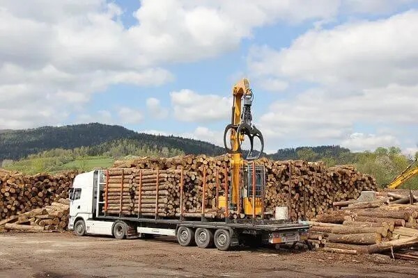 Việt Nam - Hoa Kỳ hợp tác nâng cao năng lực chống buôn bán gỗ trái phép