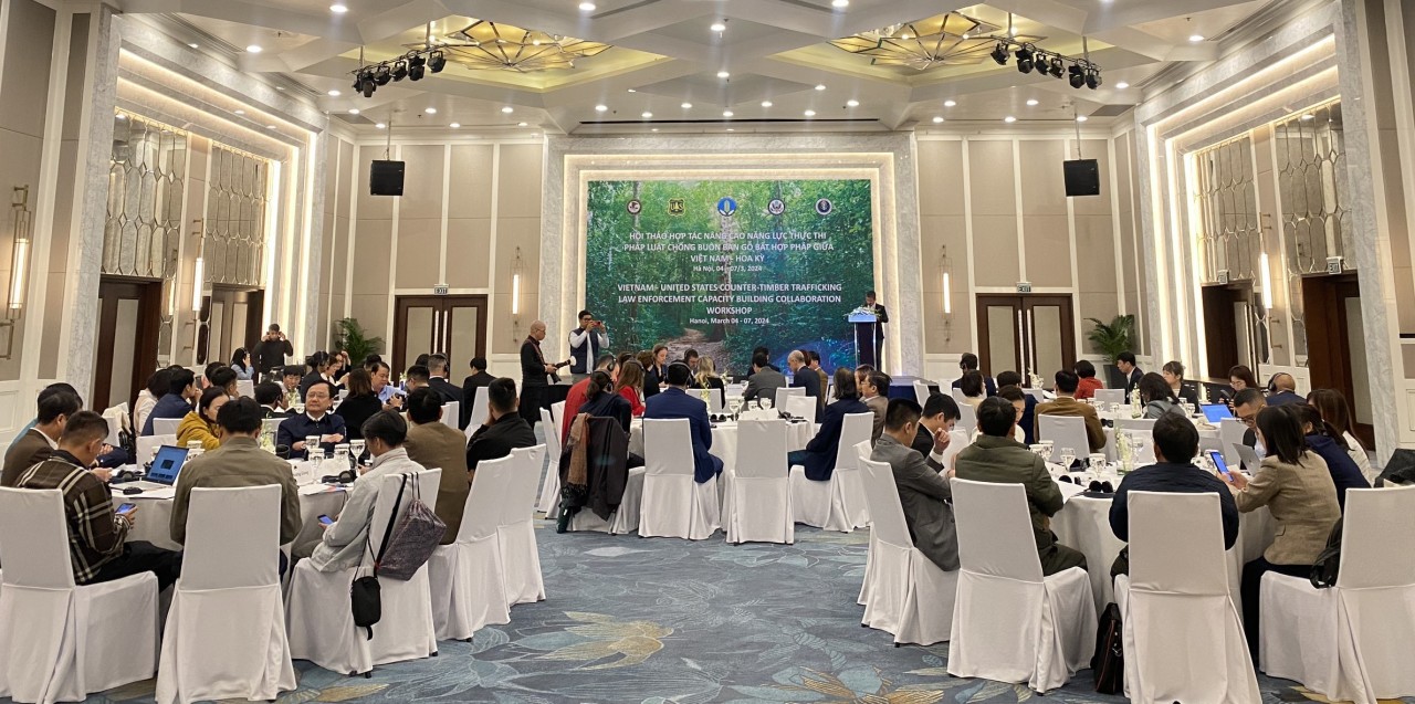 Việt Nam - Hoa Kỳ hợp tác nâng cao năng lực chống buôn bán gỗ trái phép