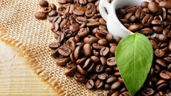 Ngày 5/3: Giá cà phê trong nước duy trì đà tăng, hồ tiêu điều chỉnh trái chiều